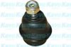 KAVO PARTS SBJ-6503 Ball Joint